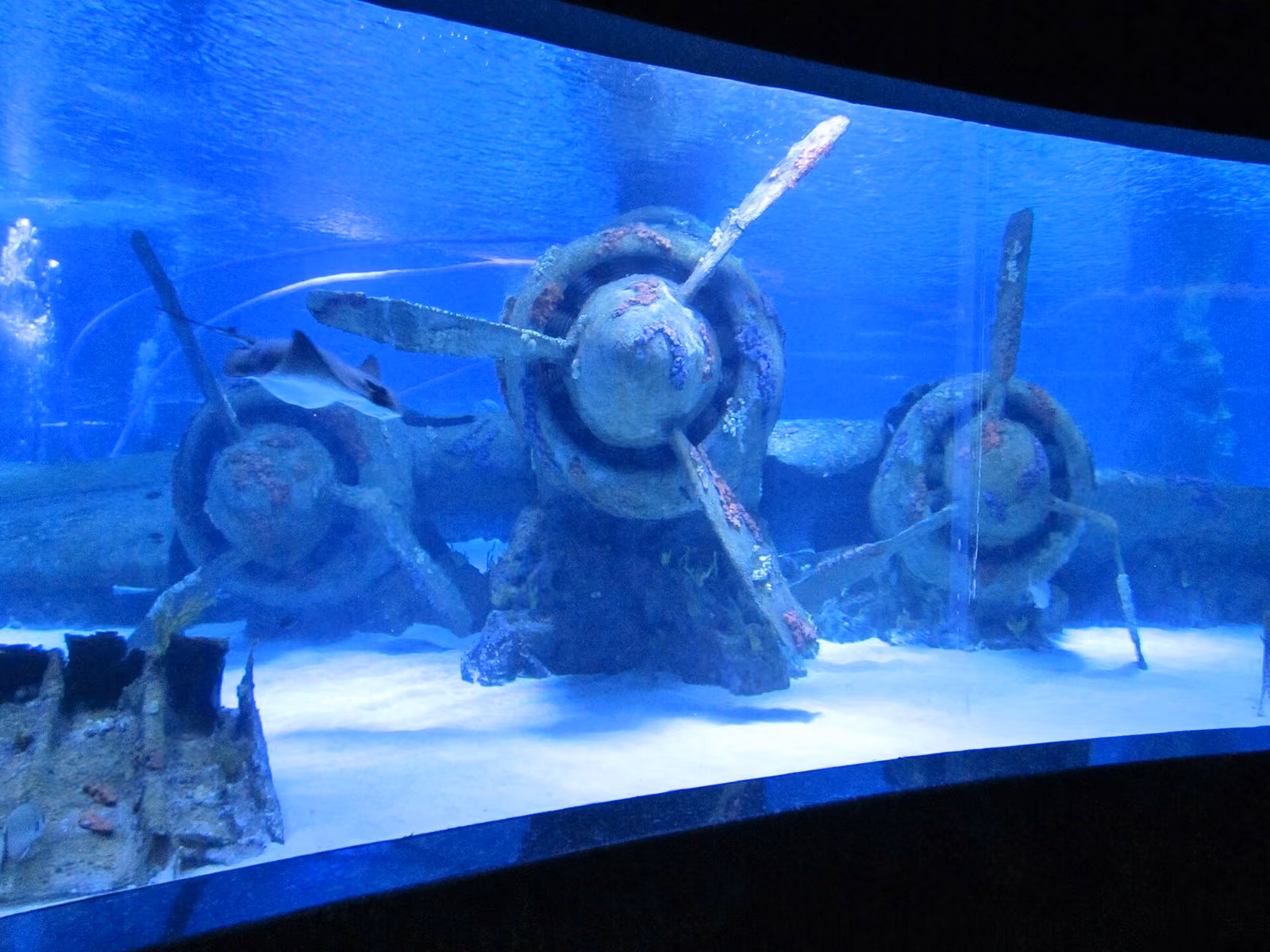 Antalya Aquarium, Antalya
